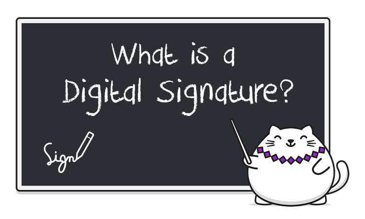 Understanding Digital Signatures: More Than Just a Hash