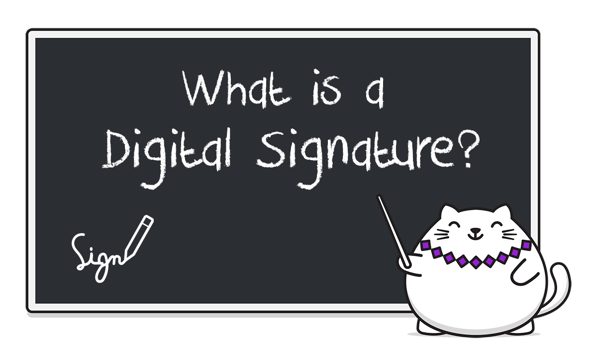 Understanding Digital Signatures: More Than Just a Hash