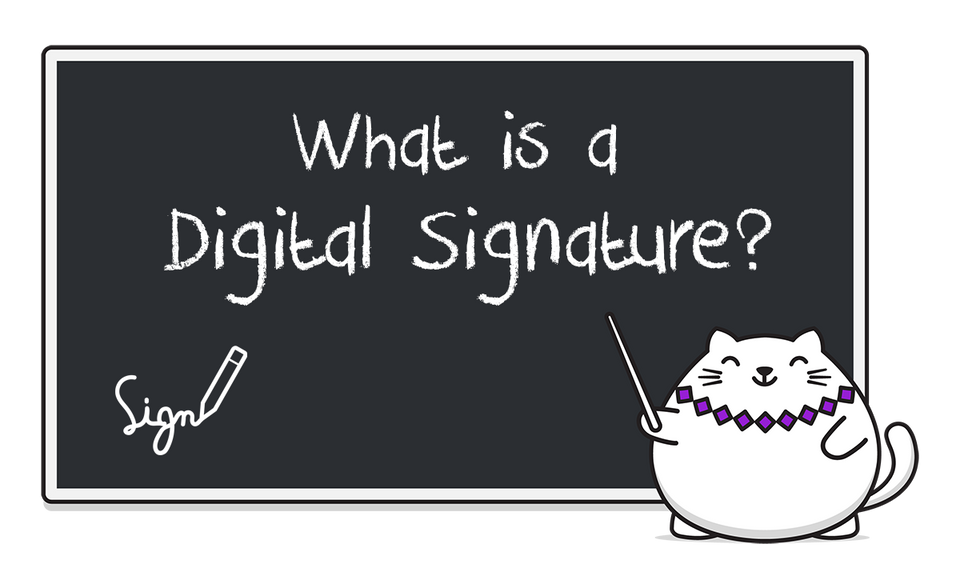 Understanding Digital Signatures: More Than Just a Hash